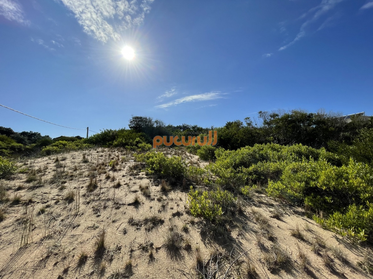 Terreno ID.1306 - Terreno en Punta Ballena, Chihuahua