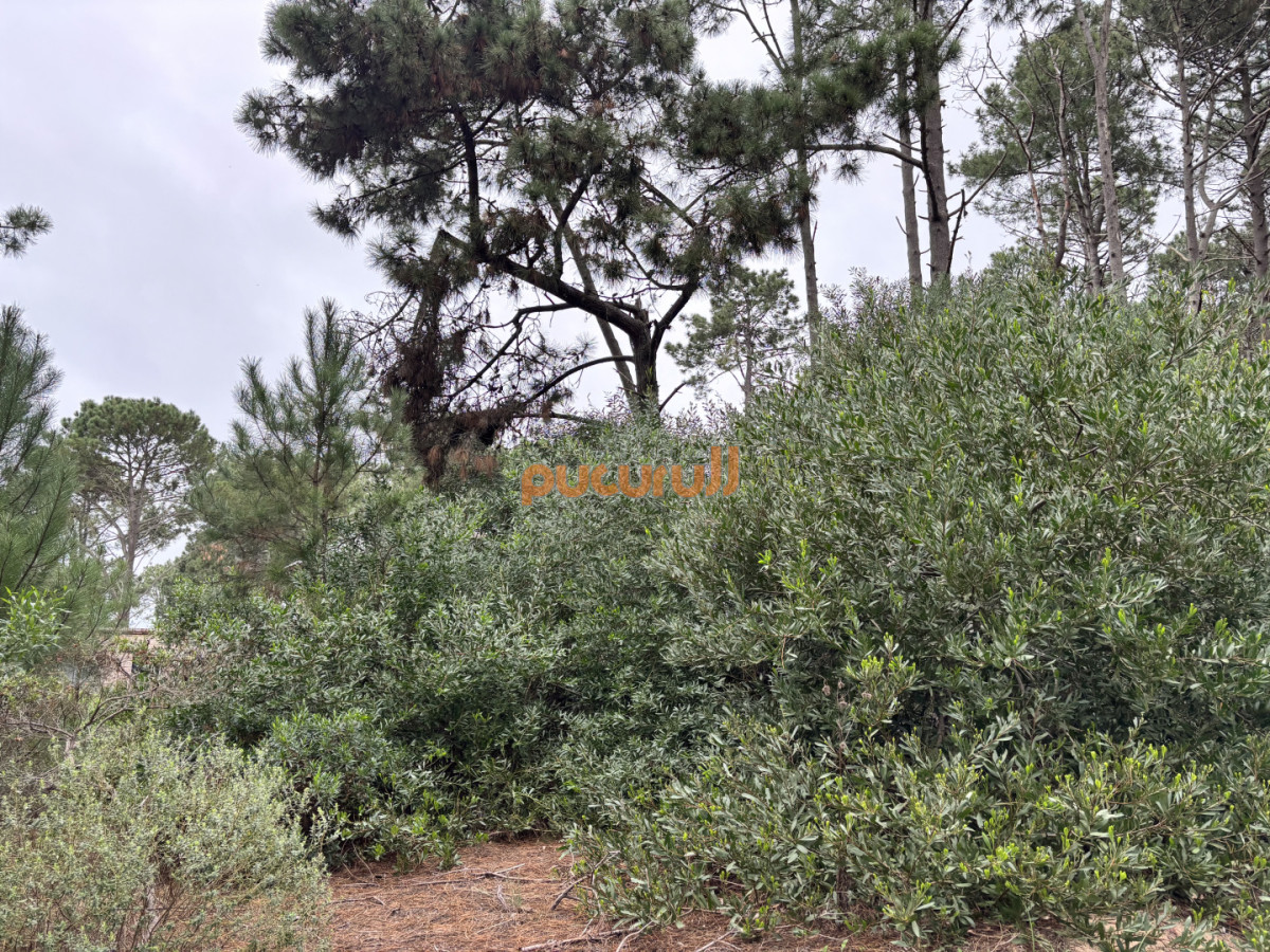 Terreno ID.2774 - Terreno en chihuahua 