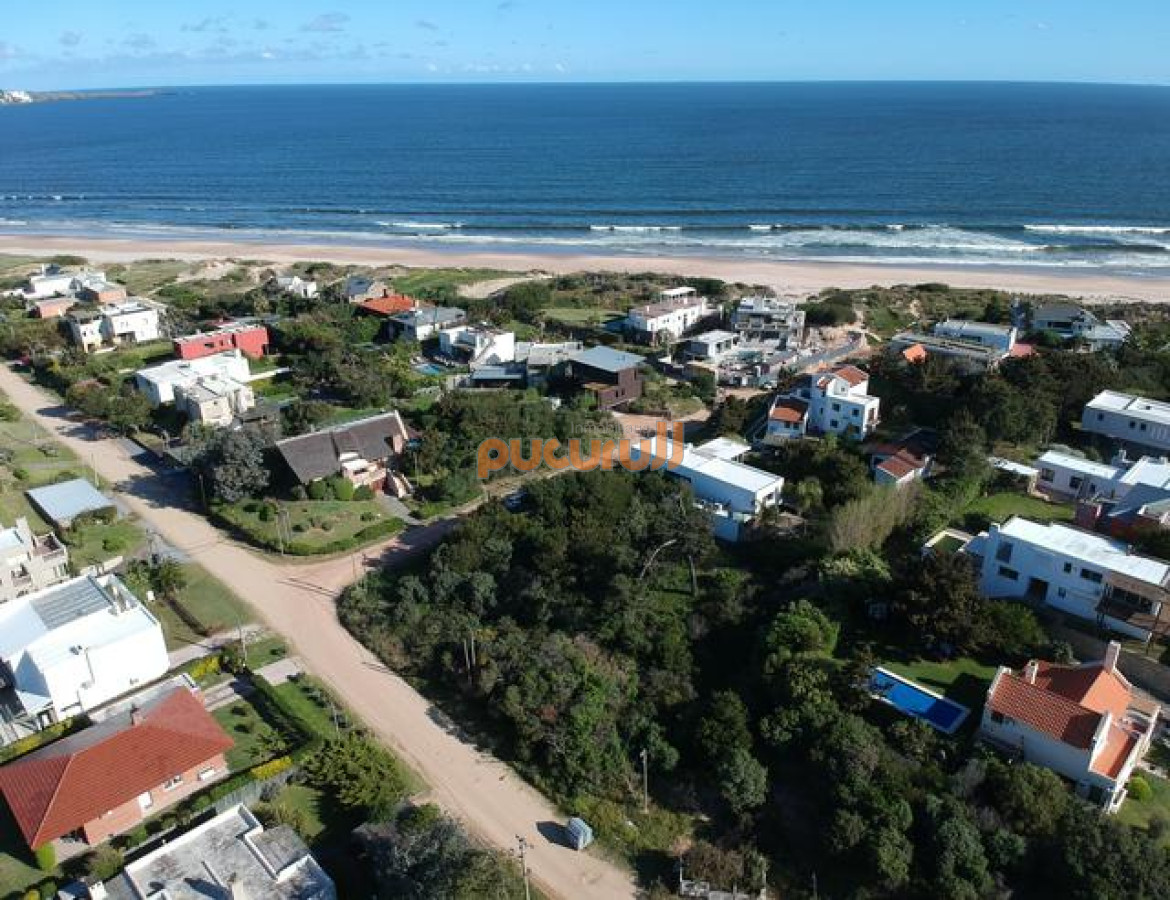 Tio Tom - GoPunta - Portal Inmobiliario de Punta del Este - Maldonado