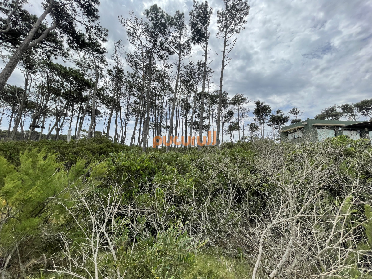 Terreno ID.1348 - Ocean Park. Oportunidad. 