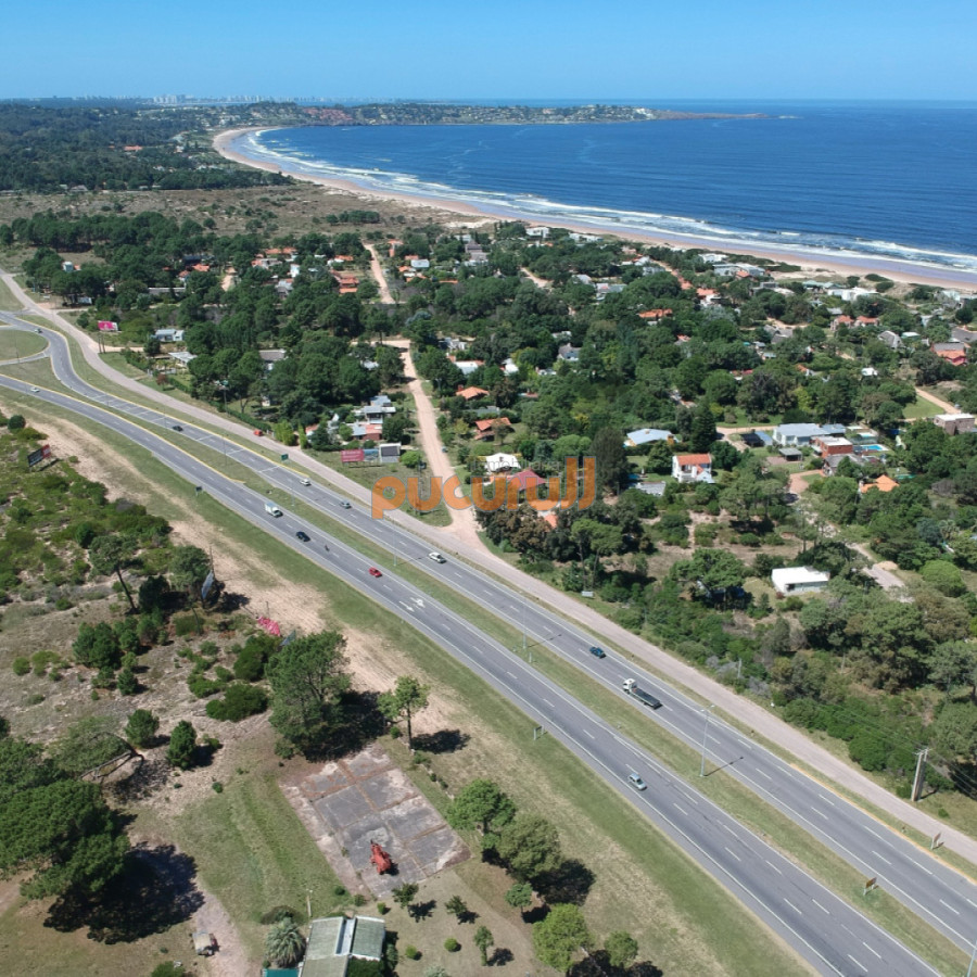 Tio Tom - GoPunta - Portal Inmobiliario de Punta del Este - Maldonado