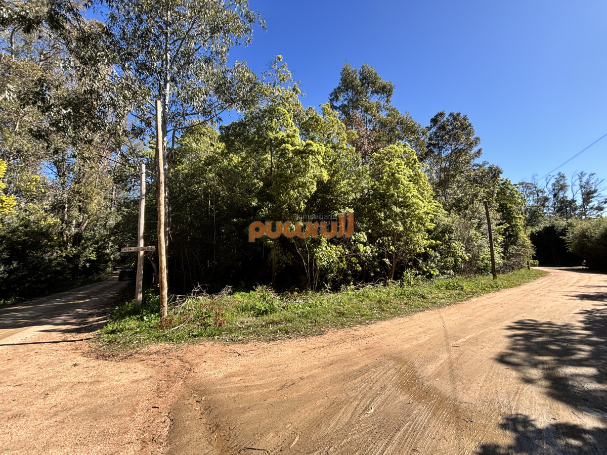 Laguna del Sauce - GoPunta - Portal Inmobiliario de Punta del Este - Maldonado