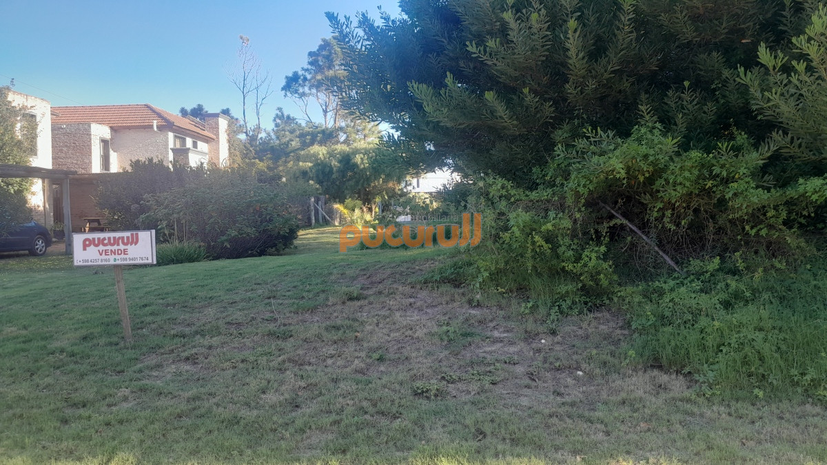 Tio Tom - GoPunta - Portal Inmobiliario de Punta del Este - Maldonado