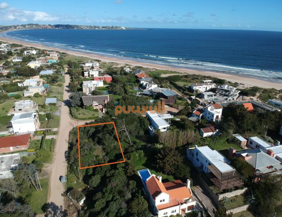 Tio Tom - GoPunta - Portal Inmobiliario de Punta del Este - Maldonado