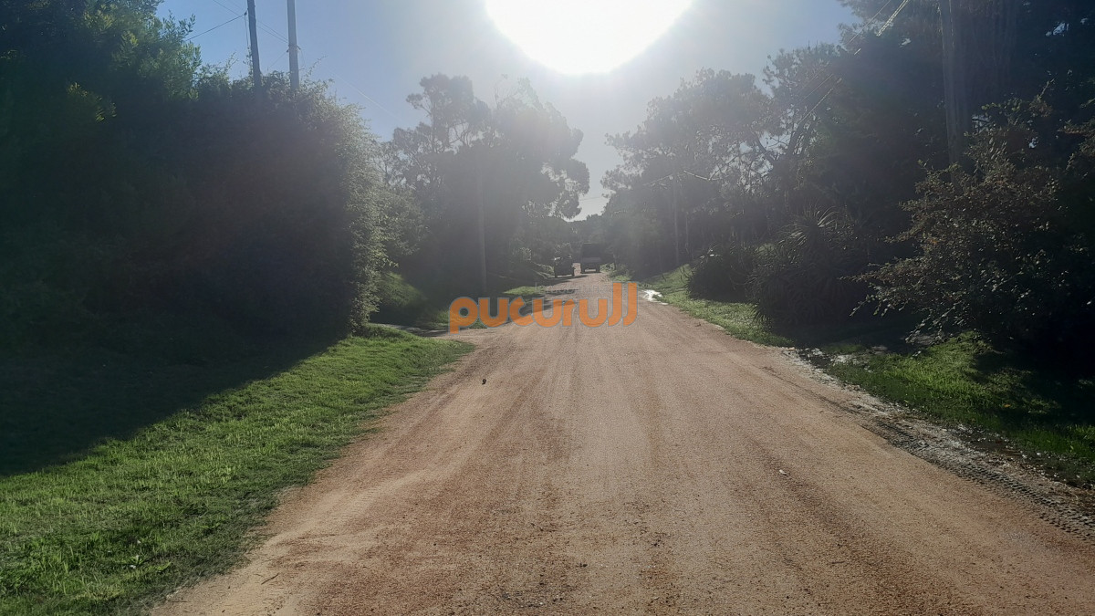 Tio Tom - GoPunta - Portal Inmobiliario de Punta del Este - Maldonado