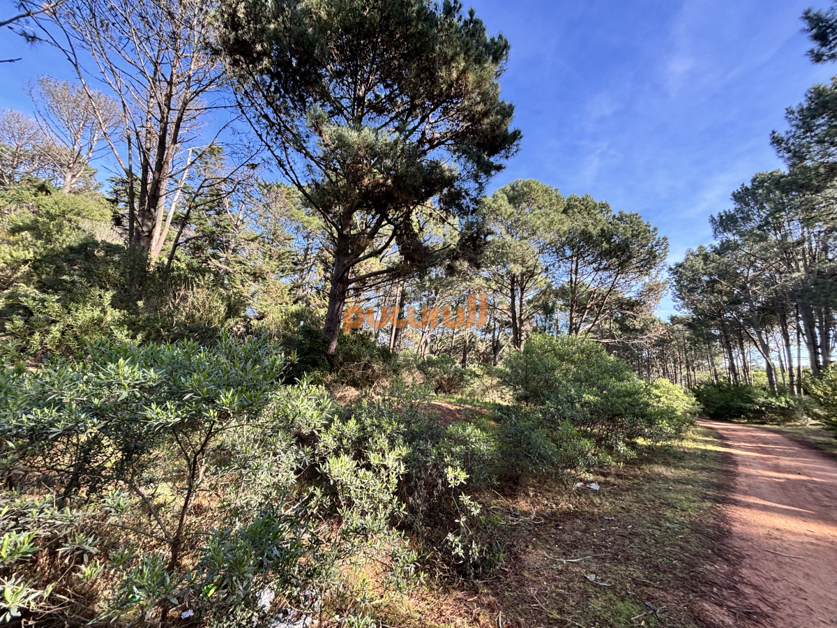 Club del Lago - GoPunta - Portal Inmobiliario de Punta del Este - Maldonado