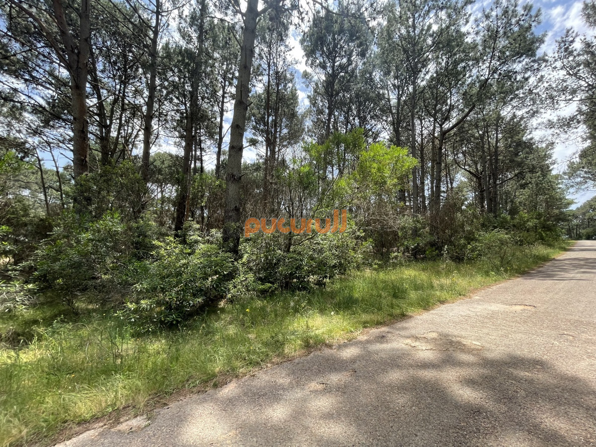 Terreno ID.1570 - Club del Lago 