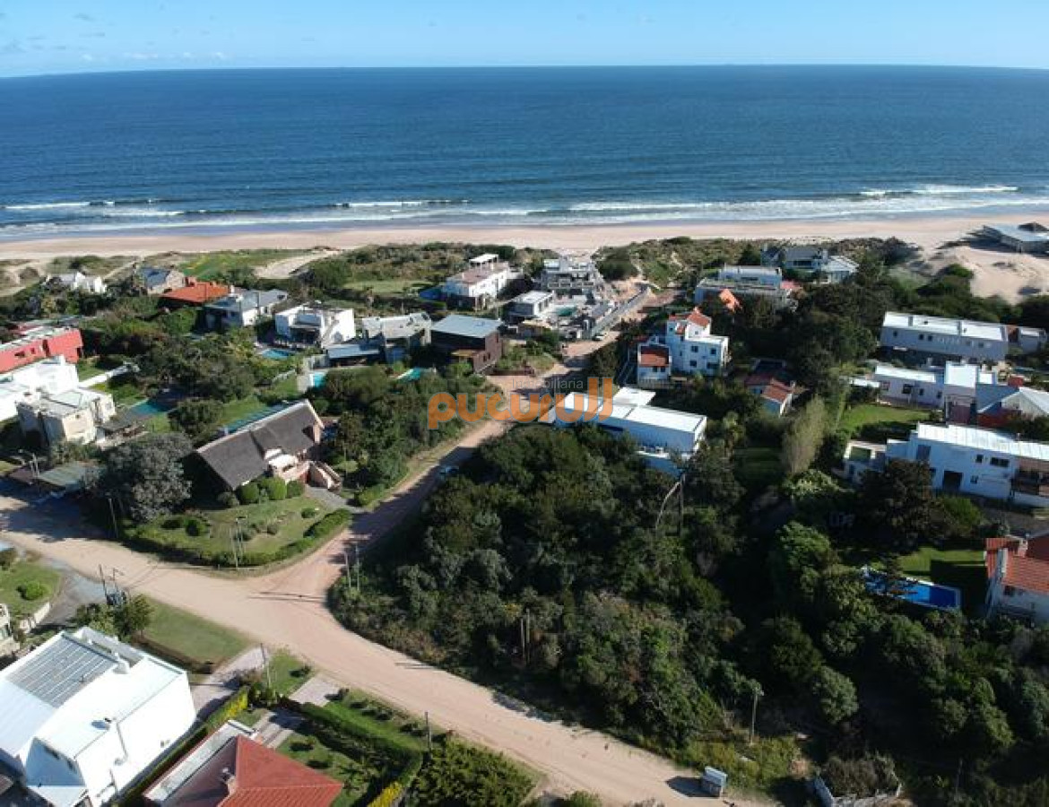 Tio Tom - GoPunta - Portal Inmobiliario de Punta del Este - Maldonado