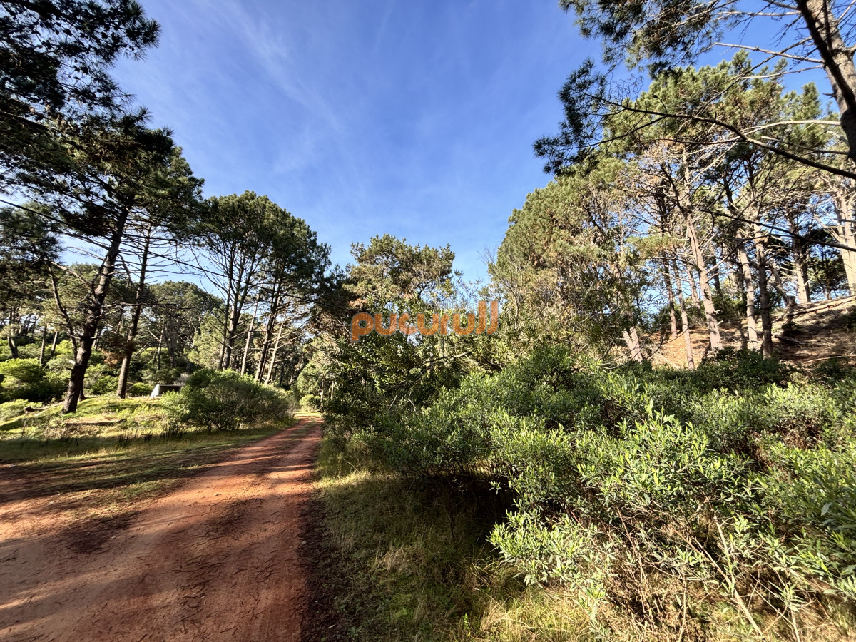 Club del Lago - GoPunta - Portal Inmobiliario de Punta del Este - Maldonado