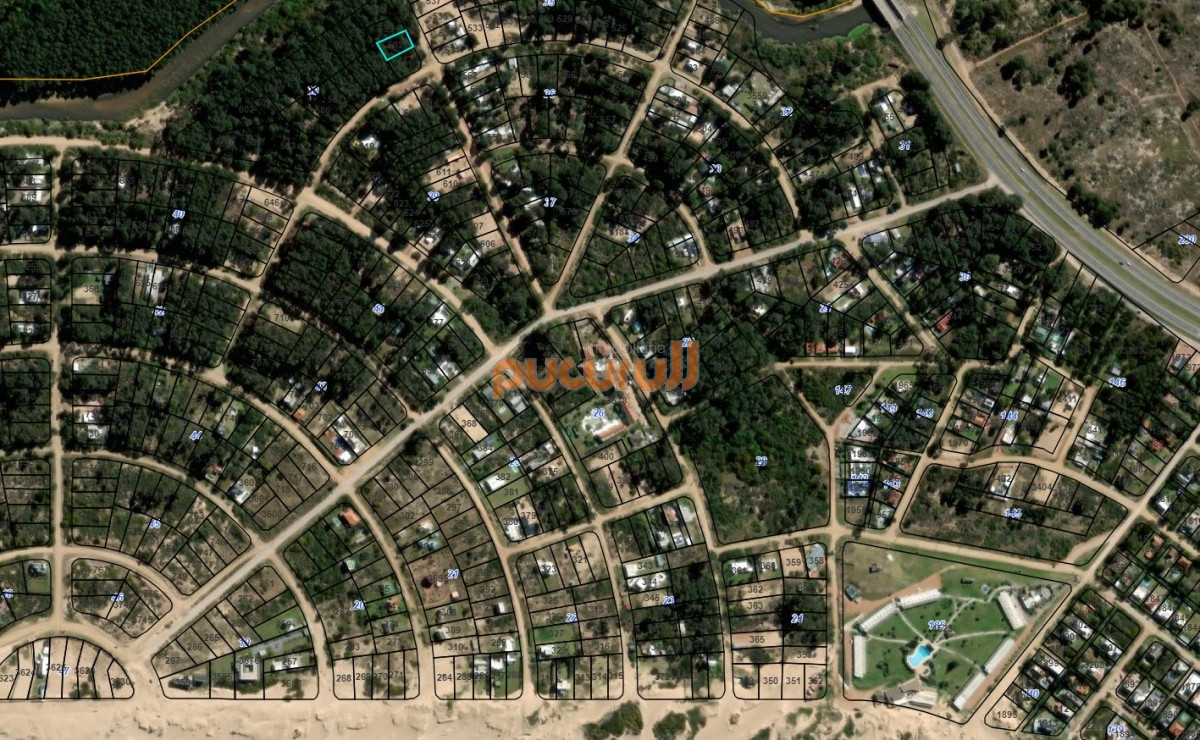Chihuahua - GoPunta - Portal Inmobiliario de Punta del Este - Maldonado