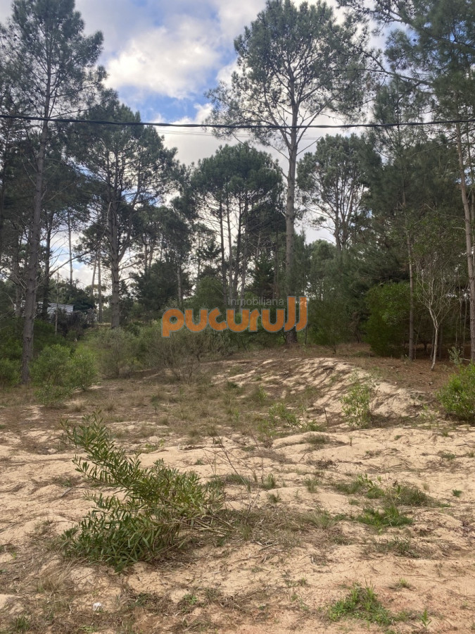 Terreno ID.1529 - Club del Lago 