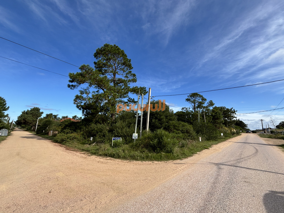 Terreno ID.870 - Terreno en Punta Ballena, Tio Tom