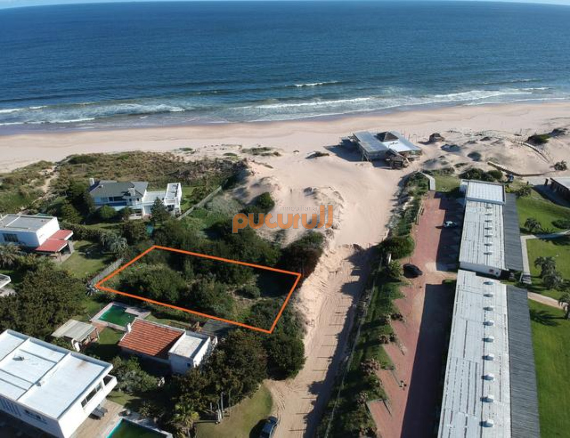 Tio Tom - GoPunta - Portal Inmobiliario de Punta del Este - Maldonado