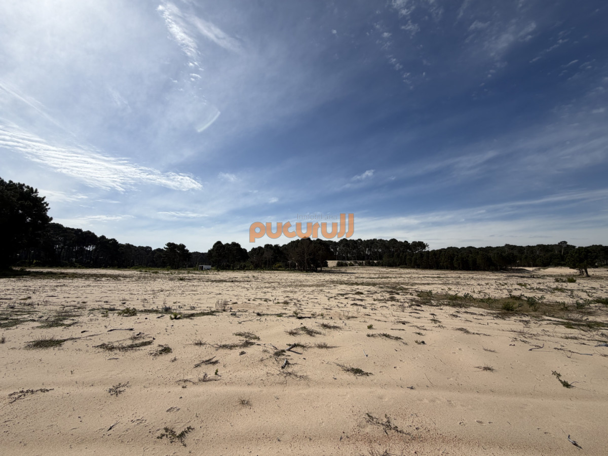 Terreno ID.3173 - Terreno de 1000 m² en La Serena - Punta Ballena