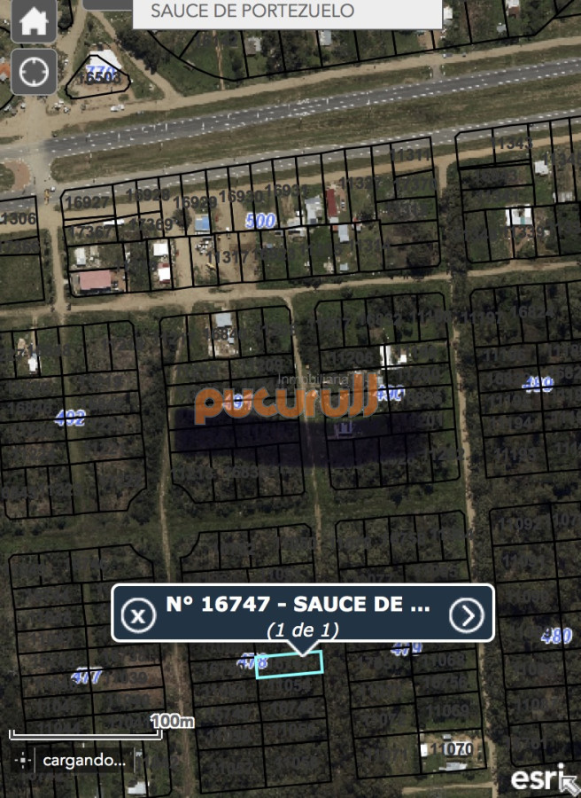 Sauce de Portezuelo - GoPunta - Portal Inmobiliario de Punta del Este - Maldonado