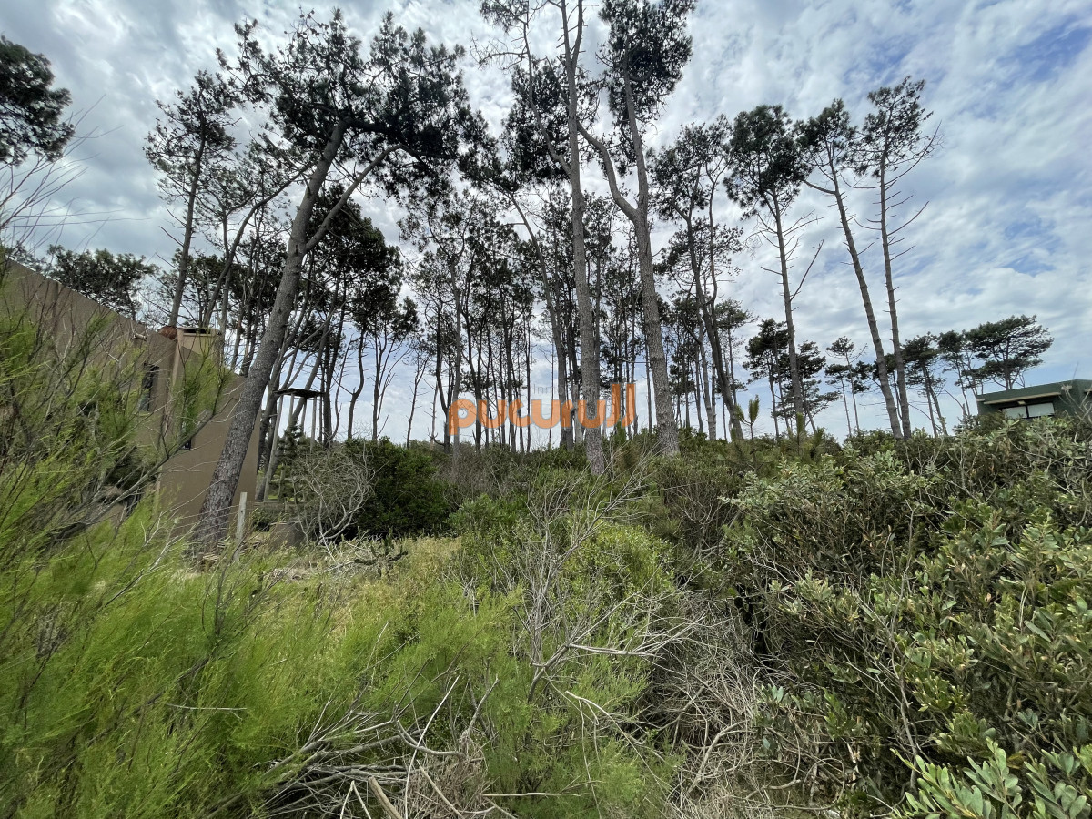 Terreno ID.1348 - Ocean Park. Oportunidad. 