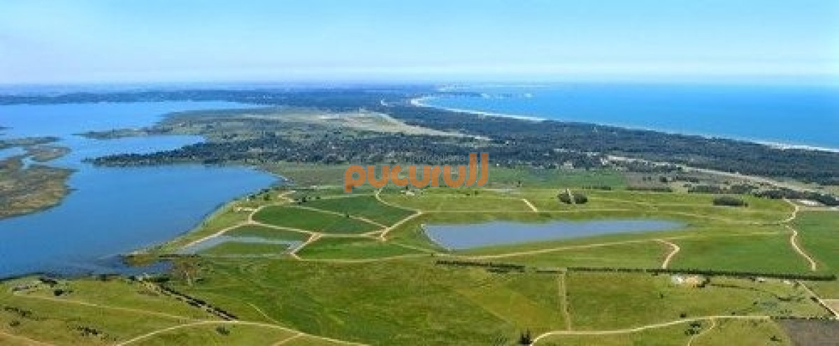 Laguna de los Cisnes - GoPunta - Portal Inmobiliario de Punta del Este - Maldonado
