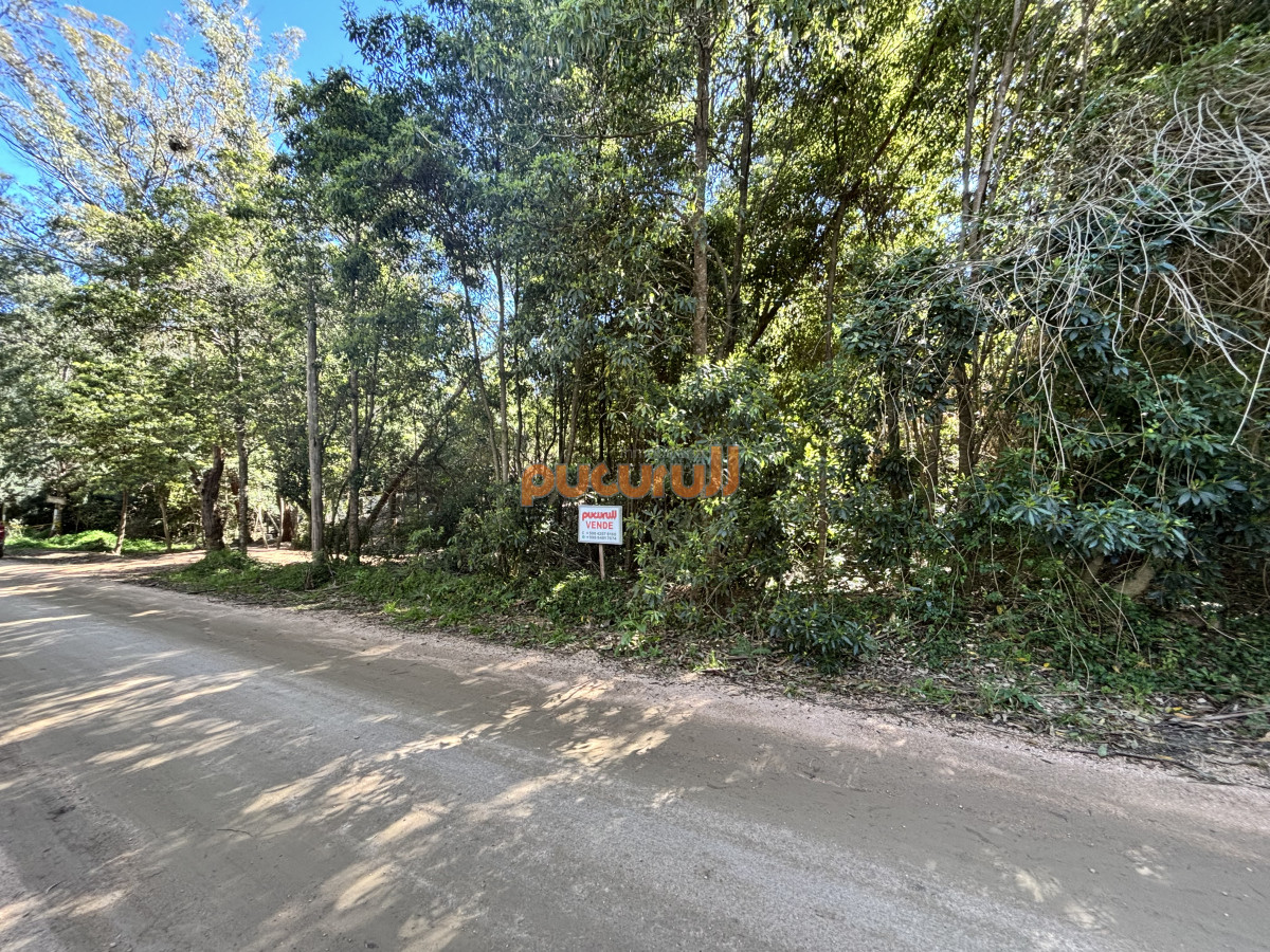 Laguna del Sauce - GoPunta - Portal Inmobiliario de Punta del Este - Maldonado