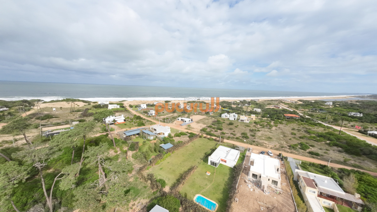 Chihuahua - GoPunta - Portal Inmobiliario de Punta del Este - Maldonado