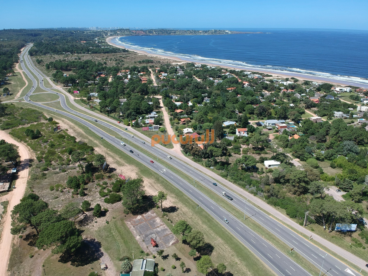 Tio Tom - GoPunta - Portal Inmobiliario de Punta del Este - Maldonado