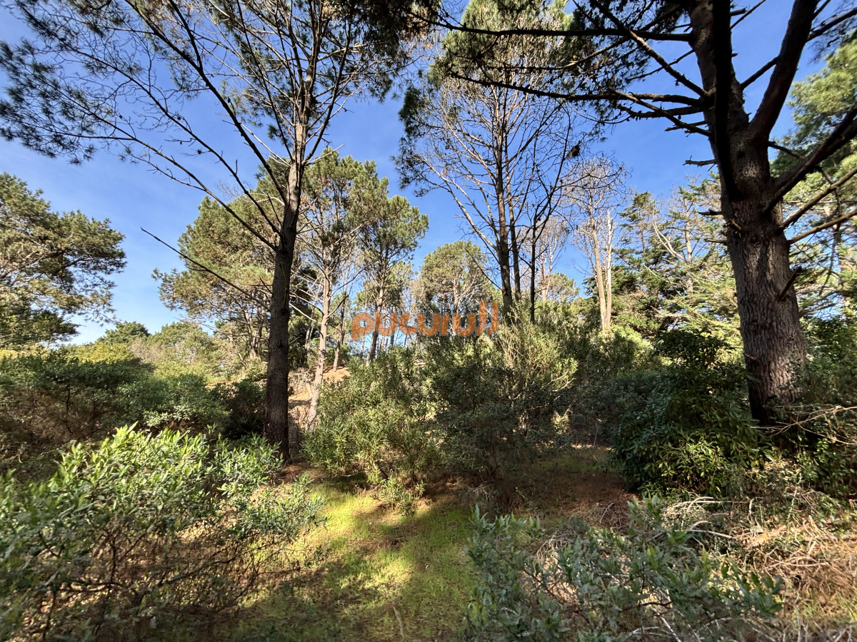 Club del Lago - GoPunta - Portal Inmobiliario de Punta del Este - Maldonado