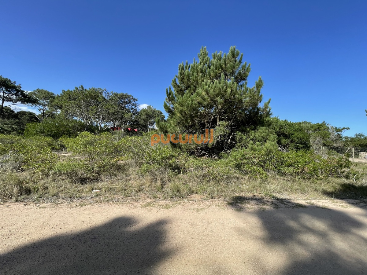 Propiedad - GoPunta - Portal Inmobiliario de Punta del Este - Maldonado