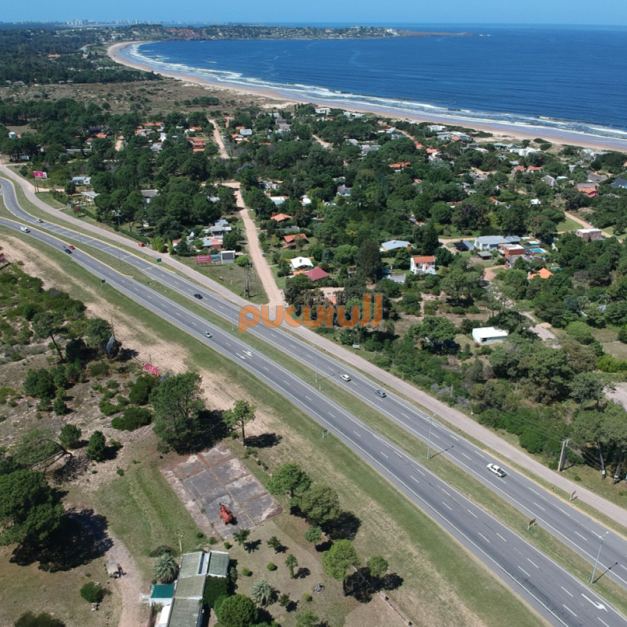 Tio Tom - GoPunta - Portal Inmobiliario de Punta del Este - Maldonado