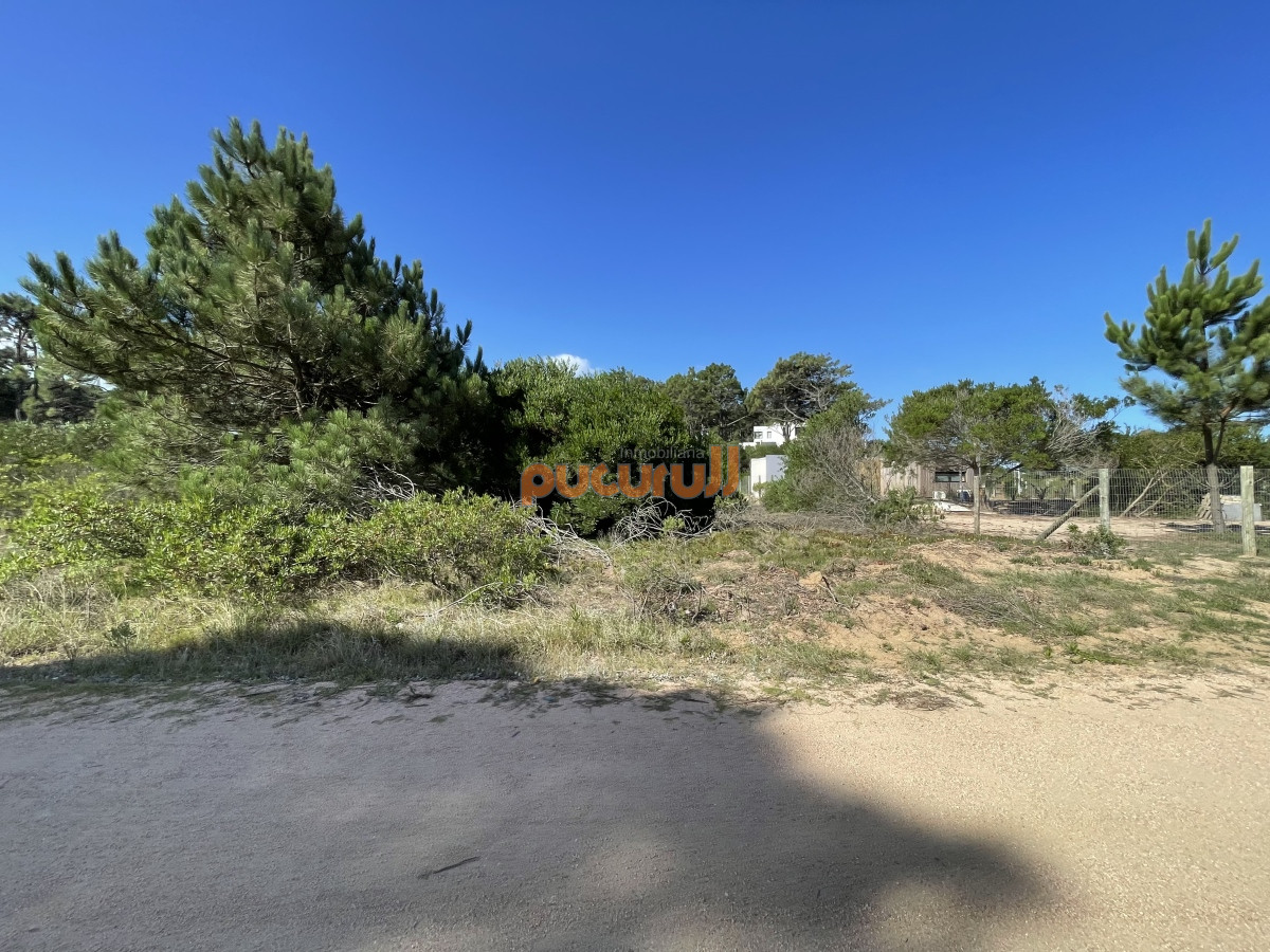Propiedad - GoPunta - Portal Inmobiliario de Punta del Este - Maldonado