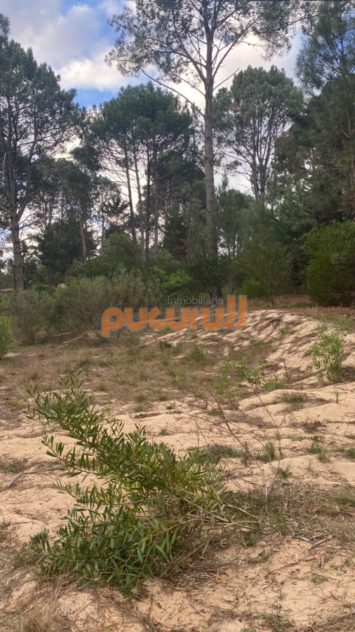 Terreno ID.1529 - Club del Lago 