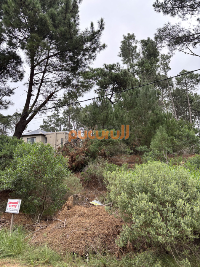 Terreno ID.2774 - Terreno en chihuahua 
