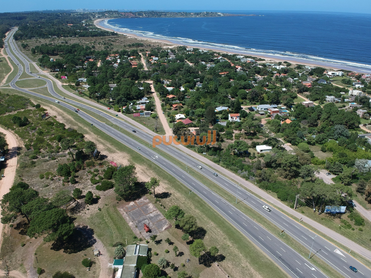 Tio Tom - GoPunta - Portal Inmobiliario de Punta del Este - Maldonado