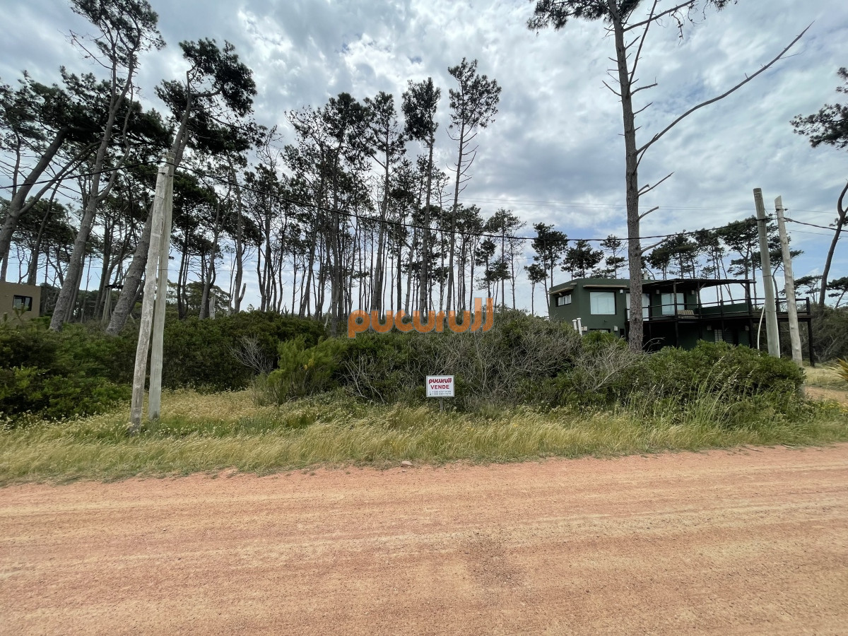 Ocean Park - GoPunta - Portal Inmobiliario de Punta del Este - Maldonado