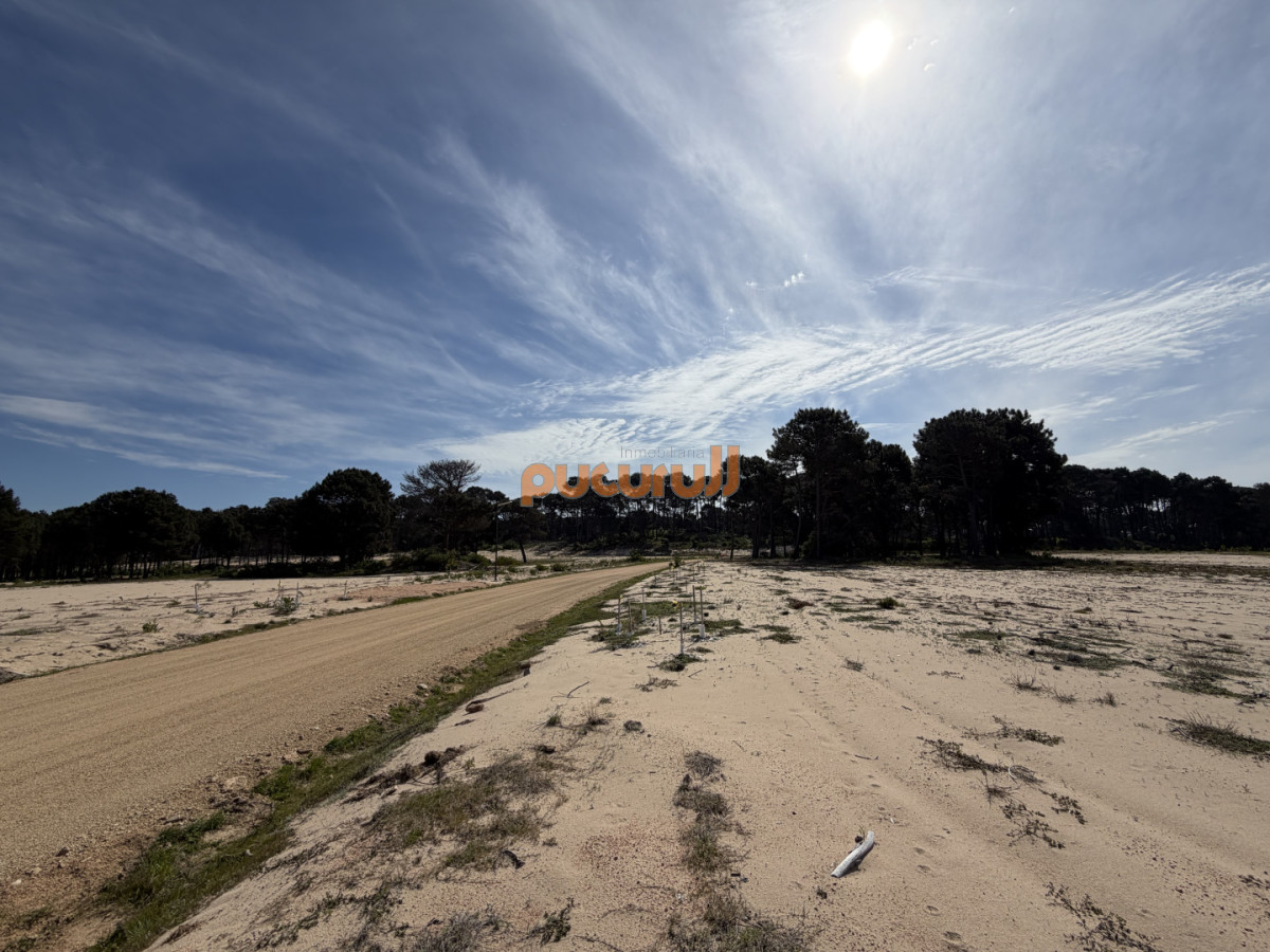 Terreno ID.3173 - Terreno de 1000 m² en La Serena - Punta Ballena