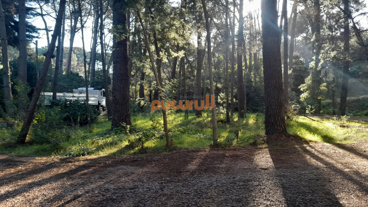 Terreno ID.1573 - Excelente Entorno de bosque!