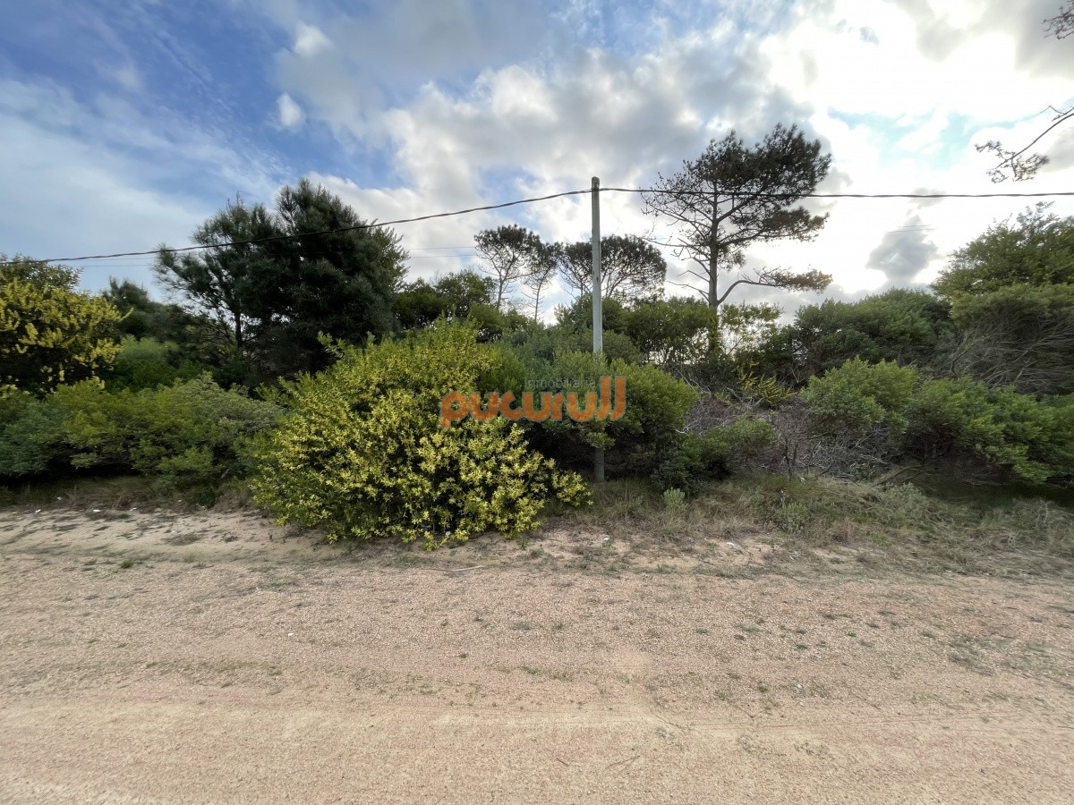 Terreno ID.742 - Chihuahua