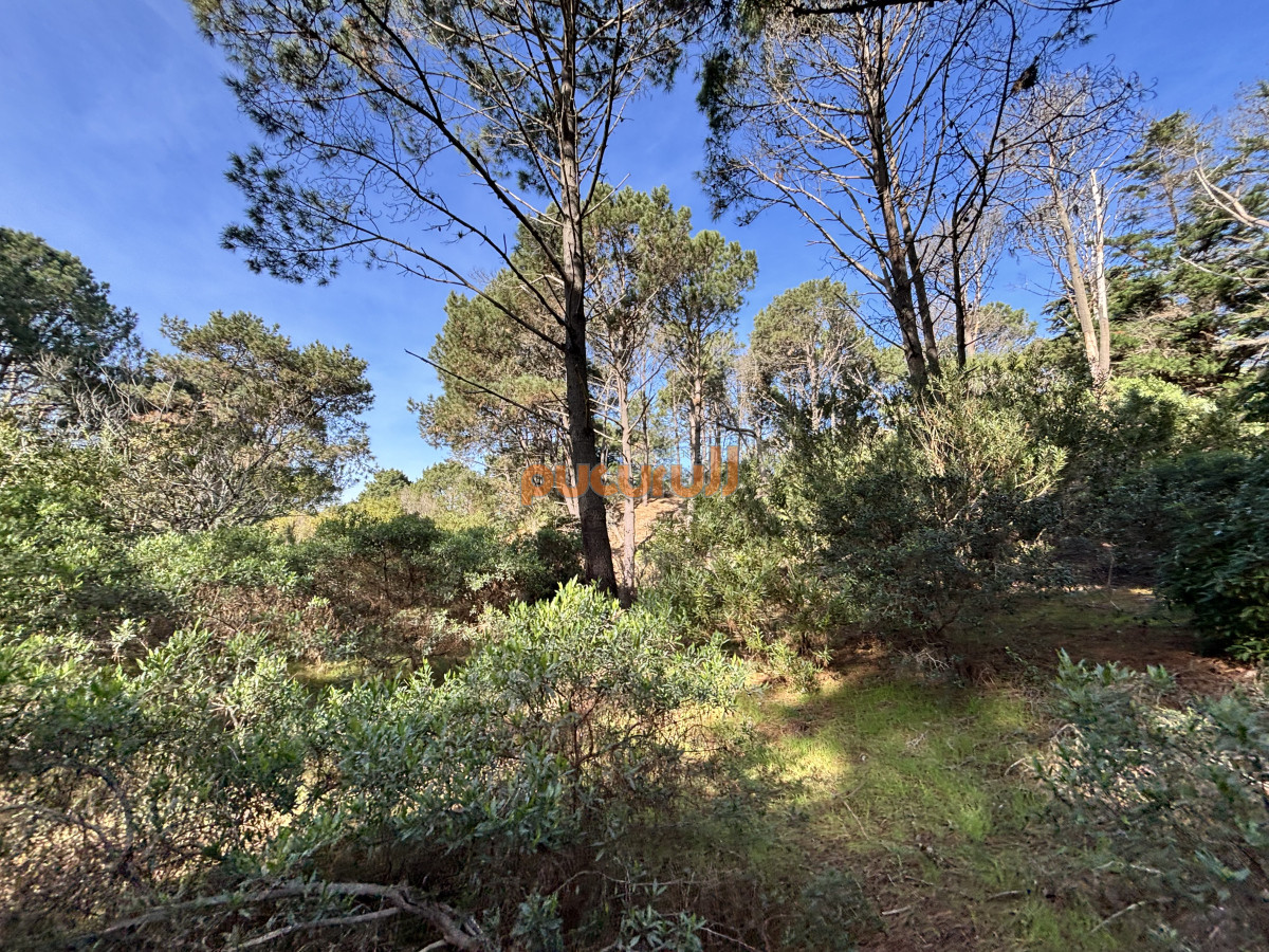 Club del Lago - GoPunta - Portal Inmobiliario de Punta del Este - Maldonado