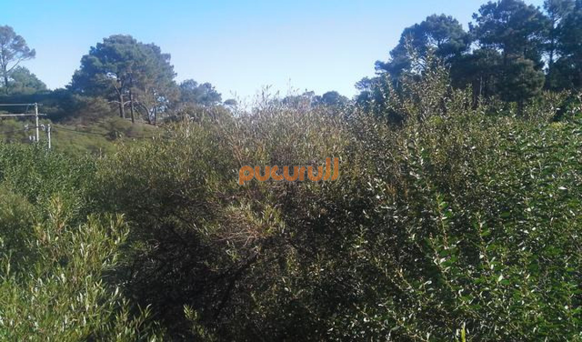 Terreno ID.2596 - Padron 835