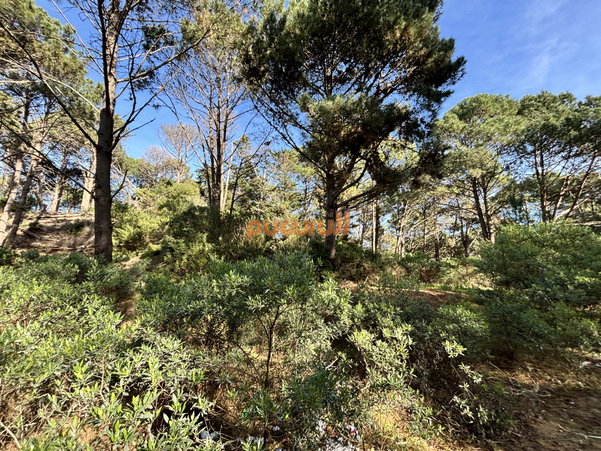 Club del Lago - GoPunta - Portal Inmobiliario de Punta del Este - Maldonado
