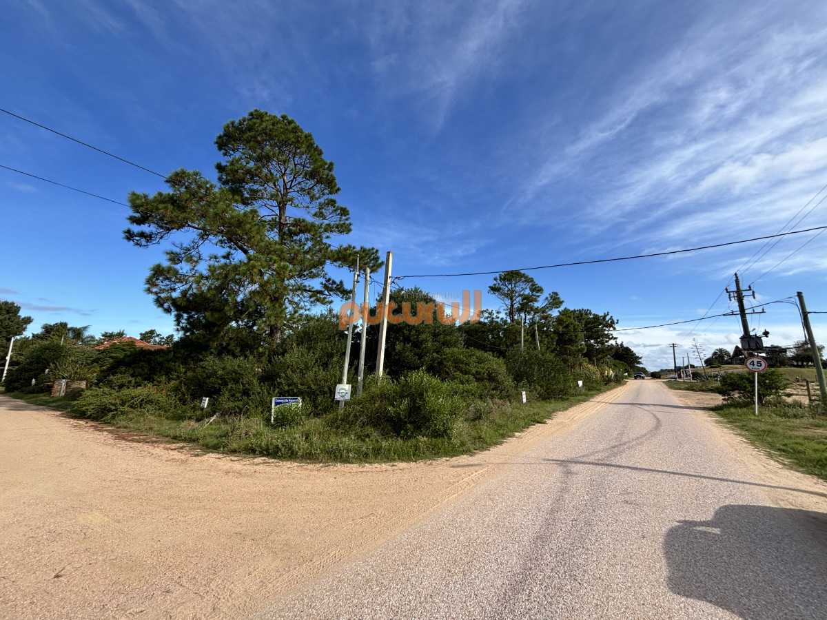 Terreno ID.870 - Terreno en Punta Ballena, Tio Tom