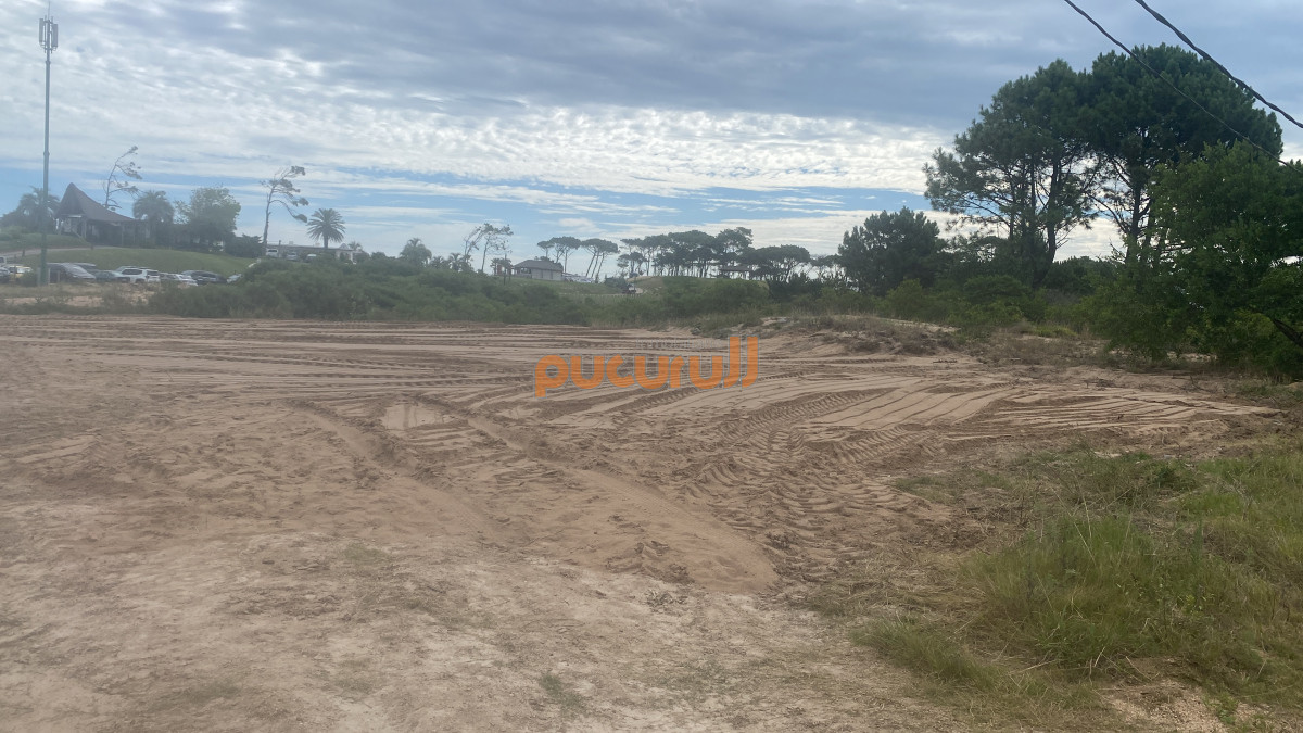 Tio Tom - GoPunta - Portal Inmobiliario de Punta del Este - Maldonado