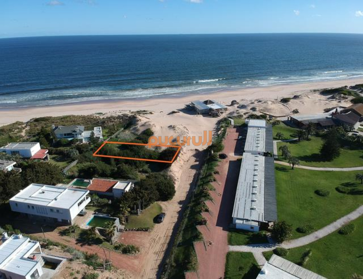 Tio Tom - GoPunta - Portal Inmobiliario de Punta del Este - Maldonado