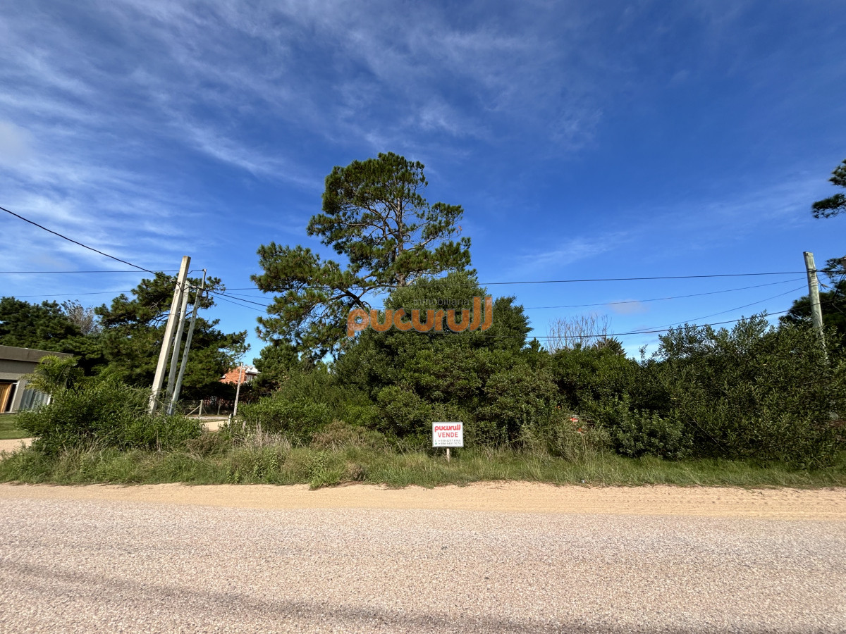 Terreno ID.870 - Terreno en Punta Ballena, Tio Tom