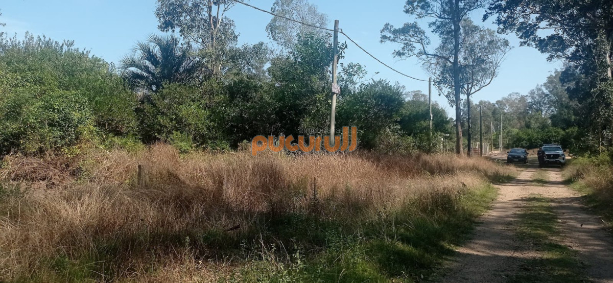 Propiedad - GoPunta - Portal Inmobiliario de Punta del Este - Maldonado