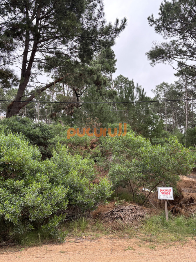 Terreno ID.2774 - Terreno en chihuahua 