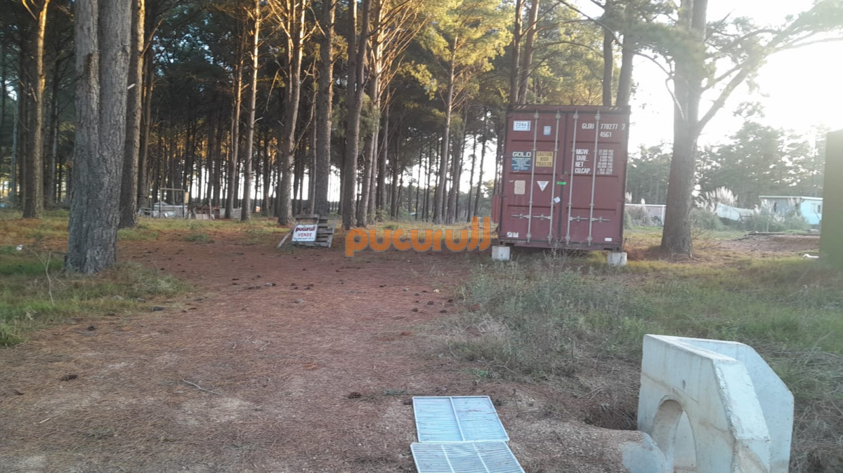 Maldonado - GoPunta - Portal Inmobiliario de Punta del Este - Maldonado