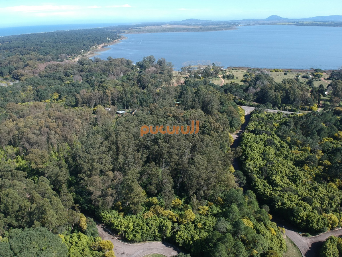 Las Cumbres - GoPunta - Portal Inmobiliario de Punta del Este - Maldonado