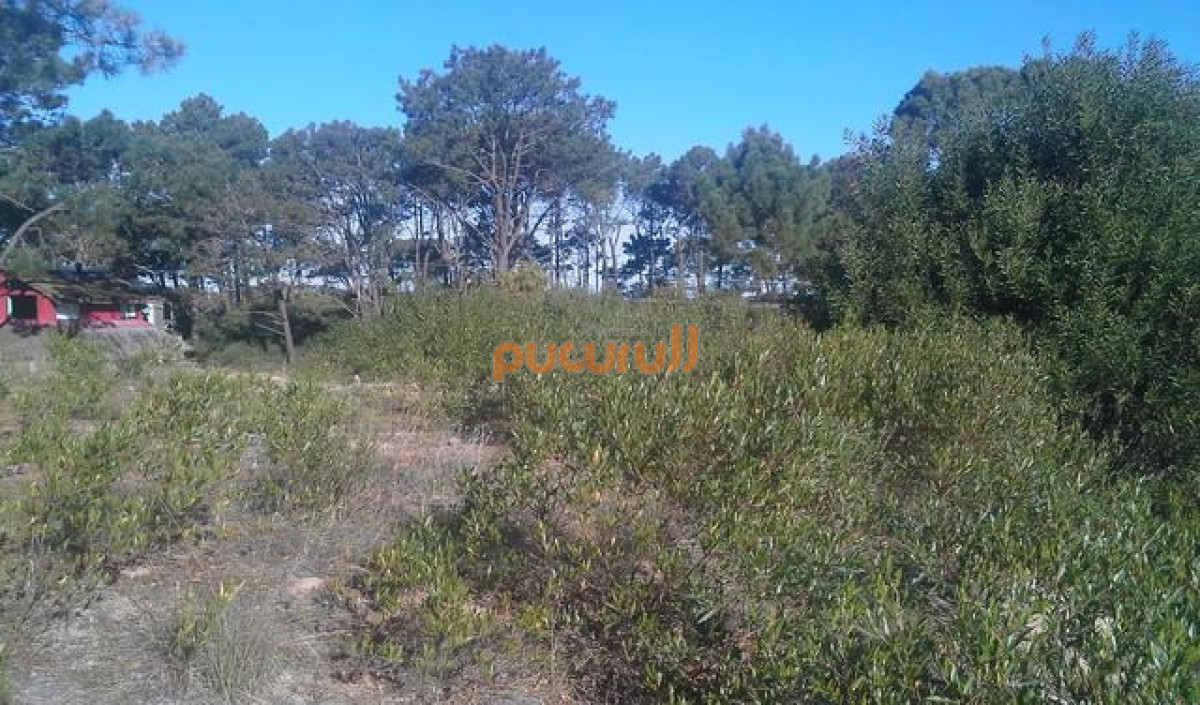 Terreno ID.2596 - Padron 835