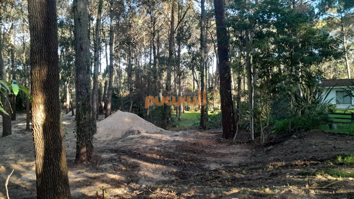 Terreno ID.1573 - Excelente Entorno de bosque!