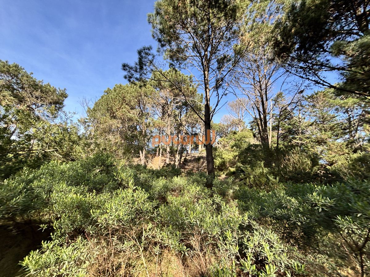 Club del Lago - GoPunta - Portal Inmobiliario de Punta del Este - Maldonado