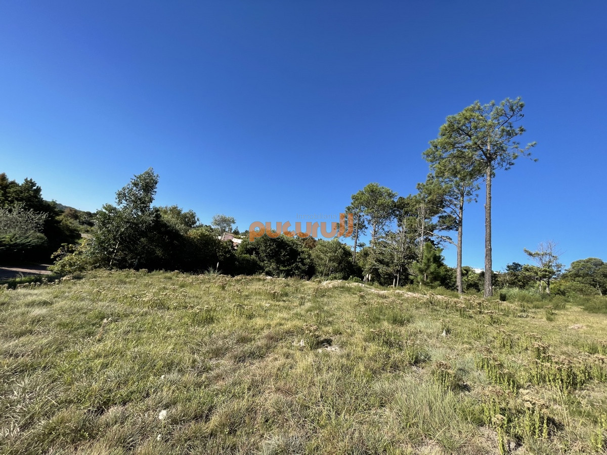 Terreno ID.936 - Terreno en Punta Ballena, Lomo de la Ballena